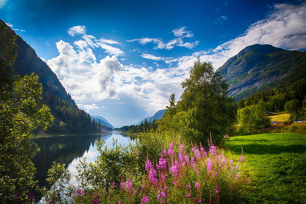 Norwegian summer landscape. Photo: John Einar Sandvand. Picspiration Sunday.