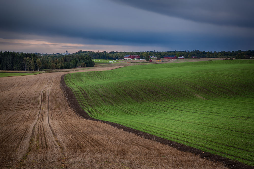 Rolling fields. Landscape photo: John Einar Sandvand